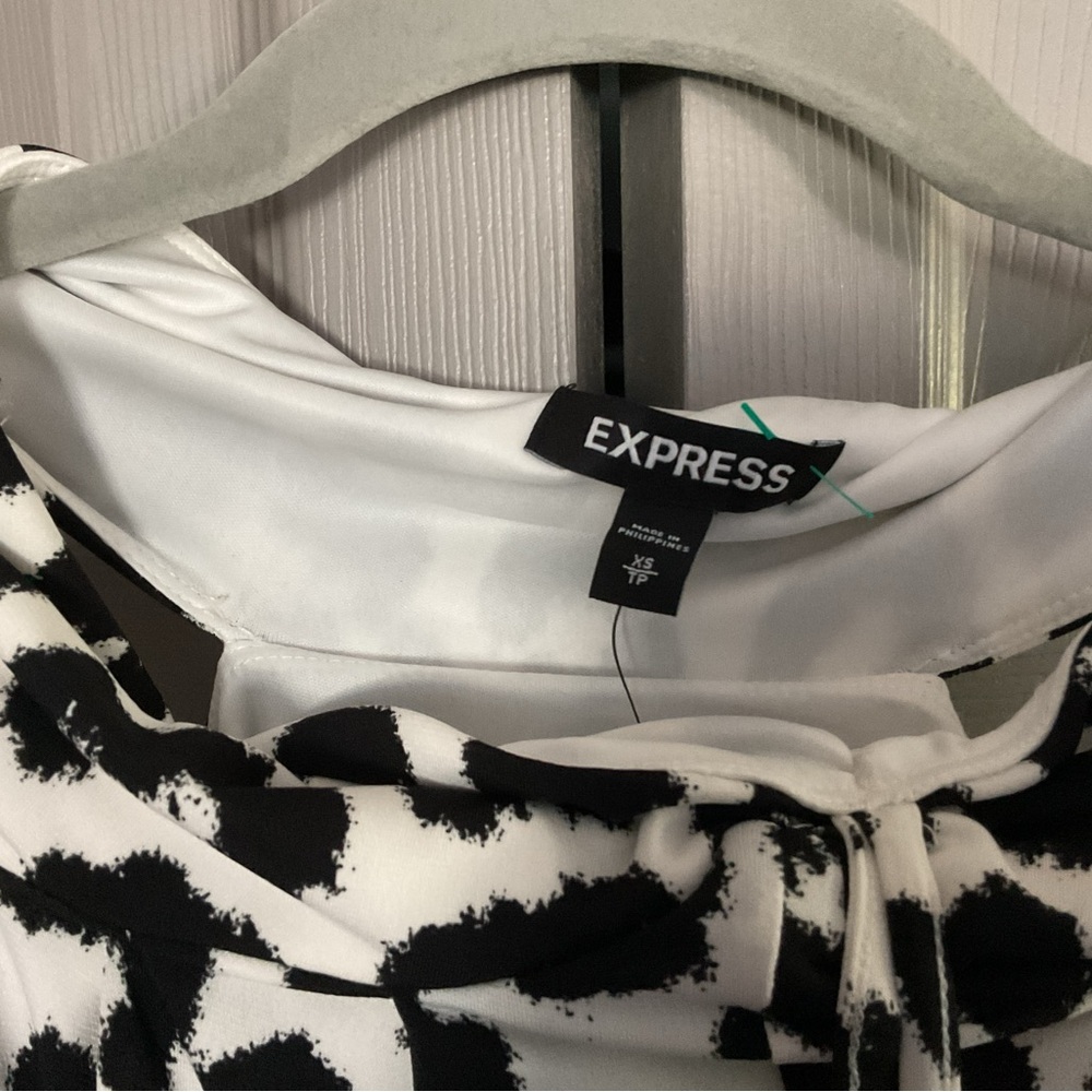 Express Zebra Patterned Dress - Picture 4 of 6